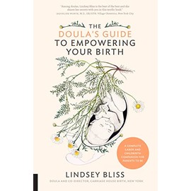 The Doula's Guide to Empowering Your Birth: A Complete Labor and Childbirth Companion for Parents to Be