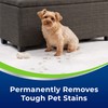 BISSELL Woolite® Advantage Pet Stain & Odor Remover + Sanitize,