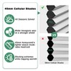 Toanture Custom Cordless Cellular Blinds, Easy to Install Blackout Honeycomb