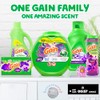 Gain flings Laundry Detergent Soap Pacs, HE Compatible, Long Lasting