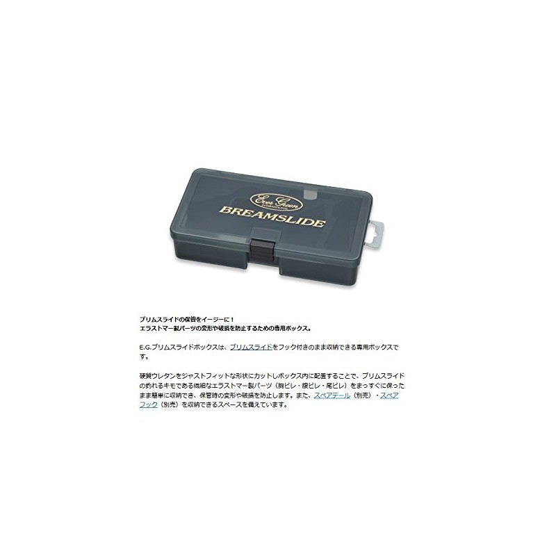 Evergreen (Evergreen) E. G. burimusuraidobokkusu