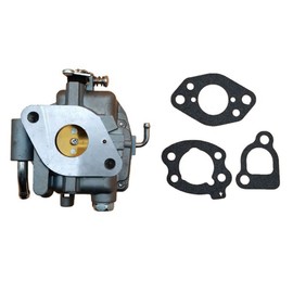 Canyoyi Carburetor Carb for B/S 809008 808249 807936 807832 294442 294446 294447 295342 295347 295442 295446 295447 24-109