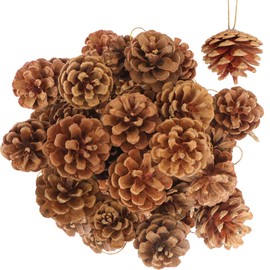 25pcs Natural Christmas Pine Cones - Rustic Pinecones with Strings, Hanging Ornaments for Xmas Tree, Gift Tags, and Winter Holiday Party Decorations (1.6-2 inches)