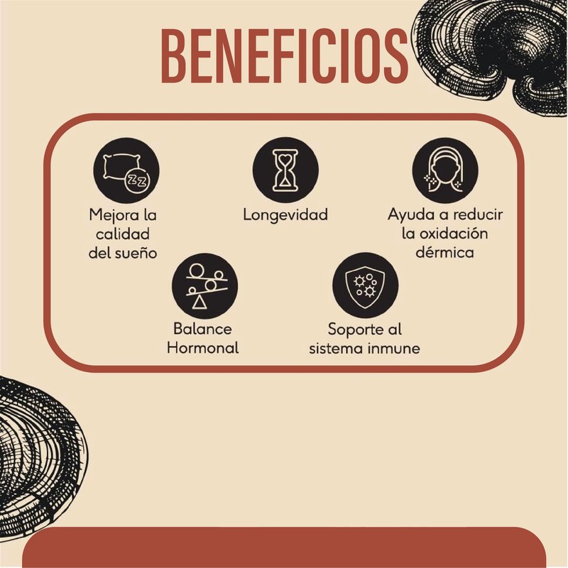 QUENUT | Adaptógeno Orgánico de Hongo Reishi en Cápsula Vegana