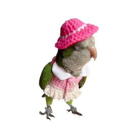 Parrot Bird Supplies, Light Flying Clothes, Warm and Comfortable, Tiger Skin, Green Cheek Parrot, Little Sun Parrot, Monk Parrot, Starling, mynah, Senegal Parrot, Mini Macaw Sweater (S)