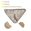 Qeunrtiy Pack of 2 Bearded Dragons Hammock Reptile Climbing Decoration