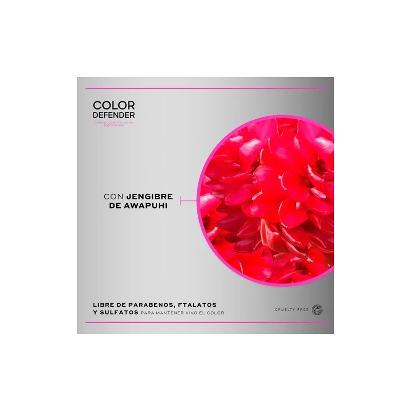 MARTHA DEBYALE HAIR TECH Color Defender Giftset 3 Piezas