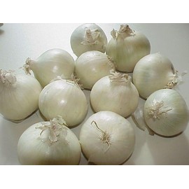 Generic White Onions, Fresh Produce, USA Grown, Non-Gmo, Bulk Wholesale (10 Pounds)
