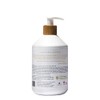 Raw Sugar Natural Hand Wash Raw Coconut Mango 16.9 FL.