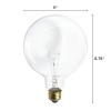 Bulbrite 351100 100G40CL 100W G40 Medium E26 Clear 2700K Warm