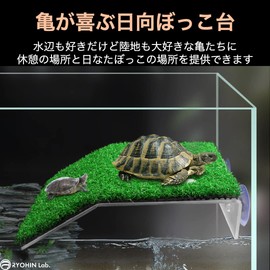 RYOHIN Lab. Floating Island, Turtle, Reptile, Aquarium Stand, Turtle, Aquarium, Sunbathing, Suction Cup, Artificial Green Turf, Sunbathing, 1 Piece (Medium)