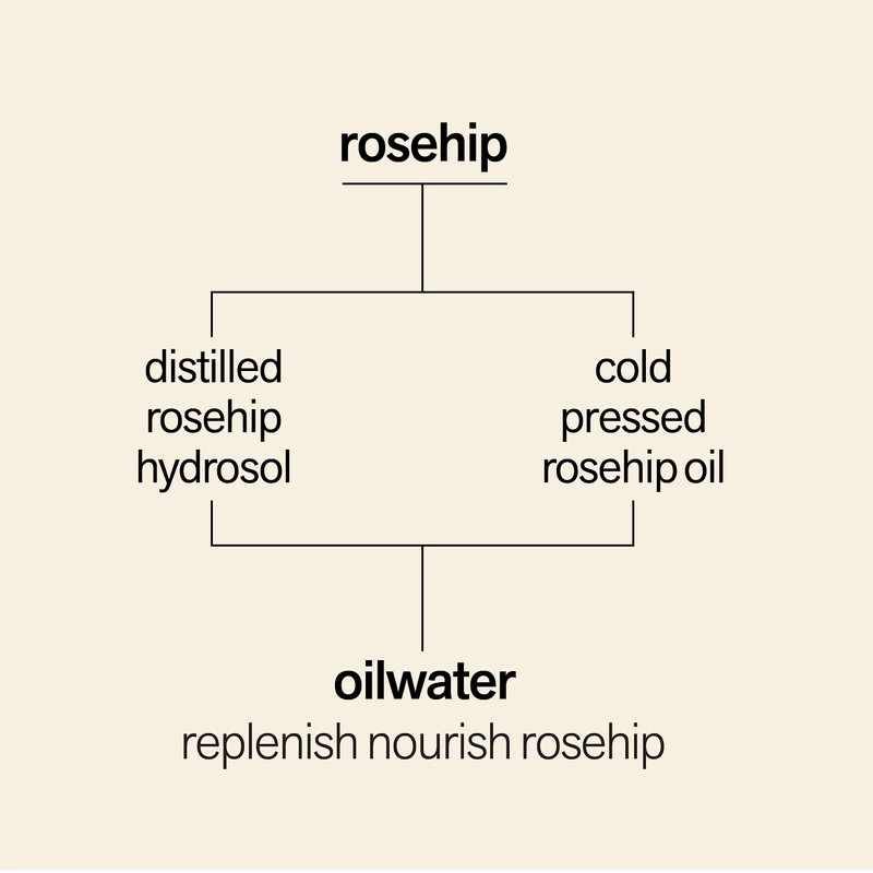 PLANT BEAUTY DISTILLERY Facewater Oilwater Replenish Nourish Rosehip