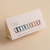 Revzel Silk Magnet Gel 10-piece set / 레브젤 실크 자석젤