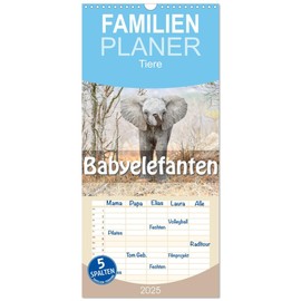Familienplaner 2025 - Babyelefanten mit 5 Spalten (Wandkalender, 21 cm x 45 cm), CALVENDO
