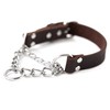 Mighty Paw Martingale Dog Collar - No Pull Design -