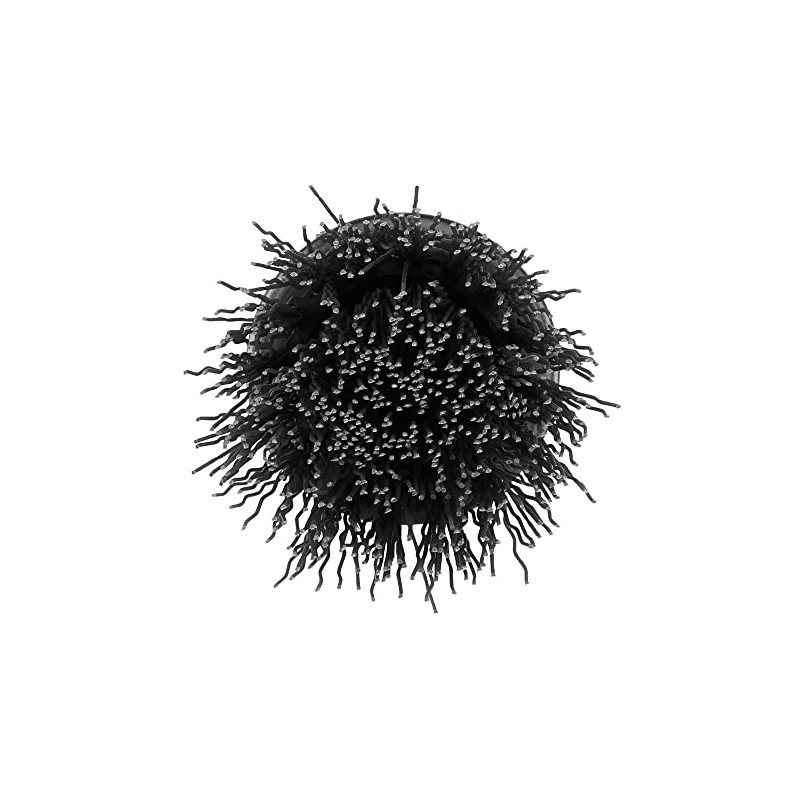 RYOBI 2 PC. Hard Bristle Brush Cleaning Home Office Garage