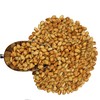 Smarty Stop Pistachio Collections (Chili, 2 Pound (Pack of 1))