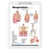 Lung Charts (clip board)
