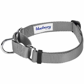 Blueberry Pet Essentials Matching Martingale Dog Collar and Leash Set in Flint Gray, Heavy Duty Nylon Adjustable Collars with 4 ft Leash for Large Dogs