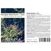 Seedeo® Holy Basil - Tulsi (Ocimum tenuiflorum syn. sanctum) approx