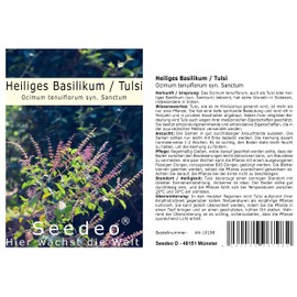 Seedeo® Holy Basil - Tulsi (Ocimum tenuiflorum syn. sanctum) approx 1000 seeds