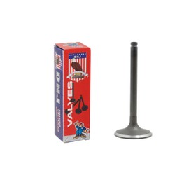 DNJ IV125 Intake Valve for 1987-2000 / Chrysler, Dodge, Hyundai, Mitsubishi, Plymouth / 3000GT, Acclaim, Caravan, Daytona, Diamante, Dynasty, Galant, Grand Caravan, Grand Voyager, LeBaron, Mighty Max