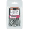 TRUSCO C-1060BT All Anchor C Type M10 x 60 Pack