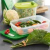 Tupperware NEW! Tupperware FridgeSmart Med. FRUIT & VEGGIE KEEPER WinterGreen