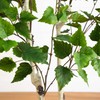 Nearly Natural 5ft. Artificial Birch Tree with Real Touch Leaves