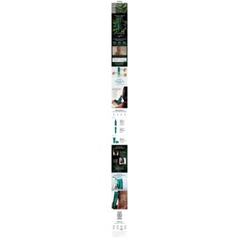 Aveda [Domestic version] Aveda Botanical Repair Overnight Serum 100ml / [국내판] 아베다 보태니컬 리페어 오버나이트 세럼 100ml