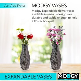 MODGY Expandable Flower Vase, Plastic Decorative Modern Foldable Printed Vases for Centerpieces for Wedding, Dining Table, Home Decor, Living Room, Bathroom, Office, Giza, 2 Pack