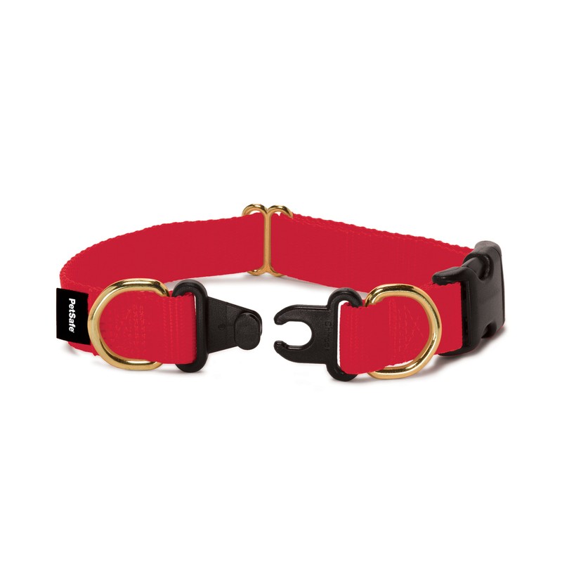 Petsafe KeepSafe Break-Away Collar, Prevent Accidents for your Dog or
