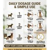 All-in-One Dog Multivitamin Chews 200 Count, Glucosamine Chondroitin Omega 3