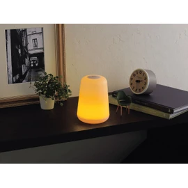 2-Way Decor Light 27725
