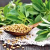Fenugreek Seeds Whole Organic Fenugreek Seeds Whole Organic Fenugreek Tea