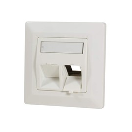 Logilink Professional Keystone NK4021 Flush-Mounted Box for 2 Keystone Sockets/Modules with 45° Outlet