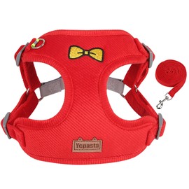 Ycpasta Comfortable and Soft Dog Harness Leash Set, No Pulling Dog Harness for Walking Hiking Training, Red, Middle Size