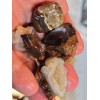 1/4 lb Deer Creek Fire Agate Choice To Mid Grade