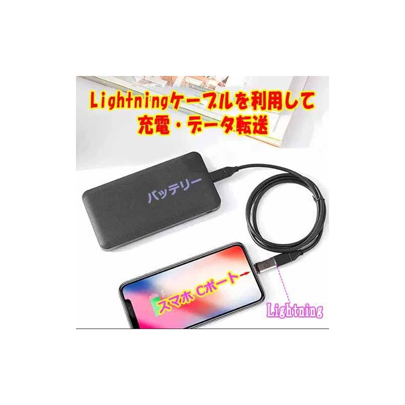 Lumen Lumen Lightning Female to USB Type-C Male Converter Adapter