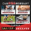ＬＥＶＥＬ．ＦＩＴ EAA 人工甘味料不使用 無添加 アセロラ風味 630g