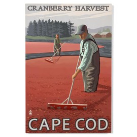 Lantern Press 12x18 Inch Premium Wood Sign, Ready to Hang Wall Decor, Cape Cod, Massachusetts, Cranberry Bogs