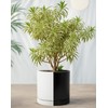 D'vine Dev 10 Inch Ceramic Planter Pot with Drainage Hole