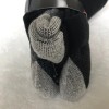 Genuine Dickies Dickies Mens Black Crew Performance WoolBlend Thermal Socks