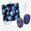 Yes, mayo Yogo Mayo Blueberry 4-piece Set Syrup Gel /
