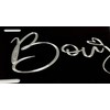 Boujee Car Tag Diamond Etched Engraved Vanity Front License Plate