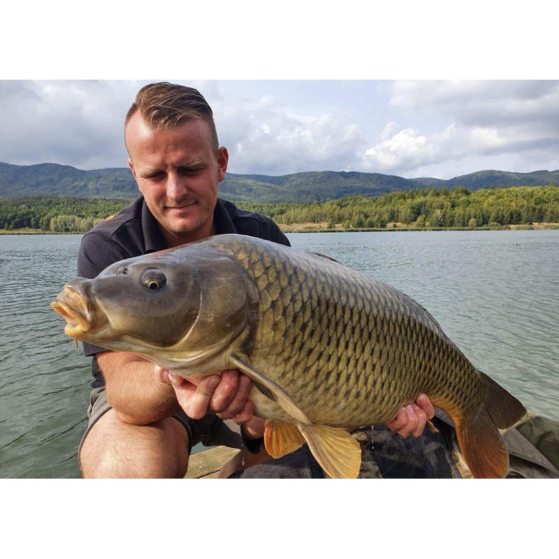 Tandem Baits Carp Feed Fishing Food Hook Bait Carp Food