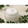 [Japanese Eye cream] Angstrom picture GF C rare m