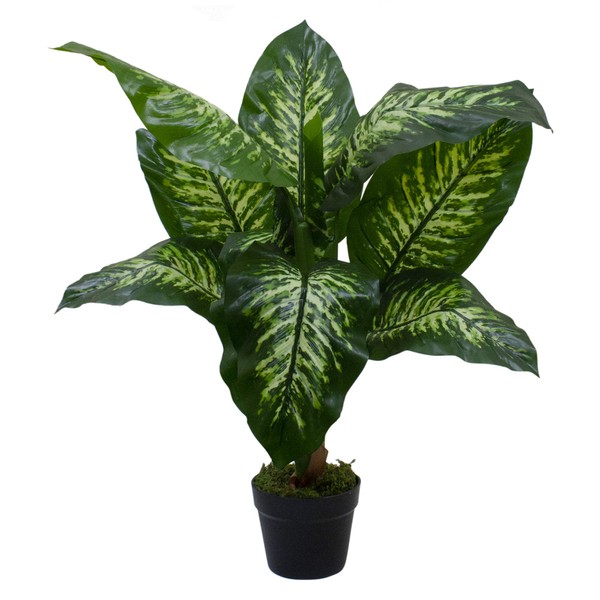 Northlight Artificial Variegated Dieffenbachia Leaf Potted Plant - 36"