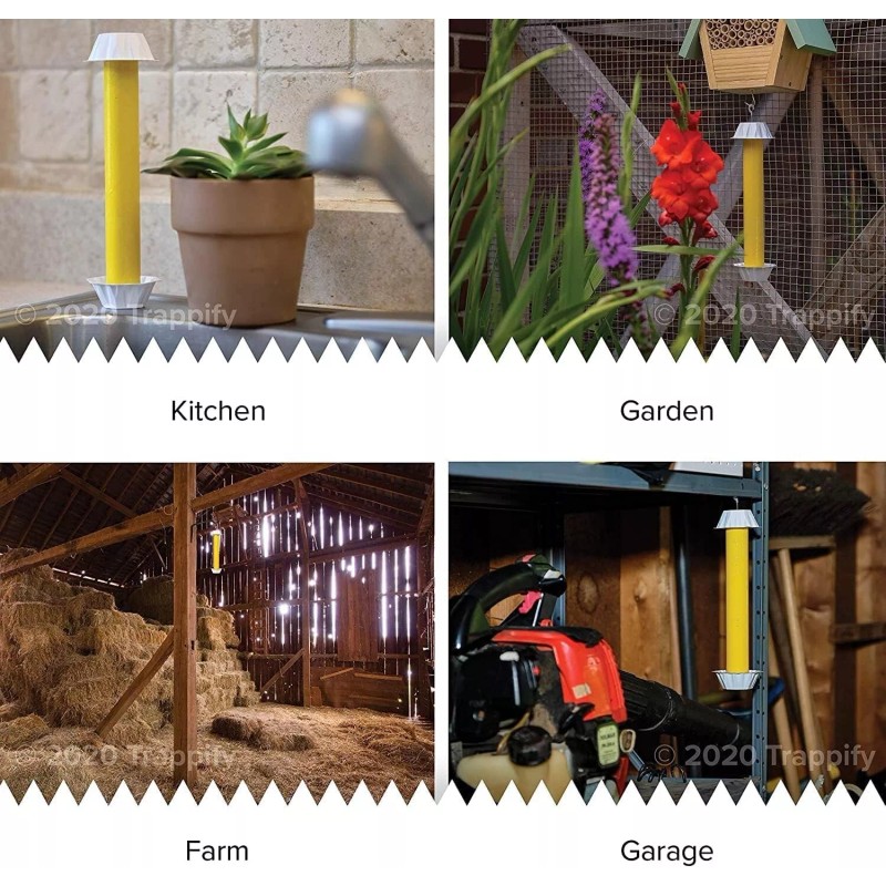 Trappify Hanging Fly Traps Outdoor Fruit Fly Traps for Indoors