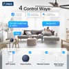 Amico 52 Inch Smart Ceiling Fans with Lights, Downrod Mount,